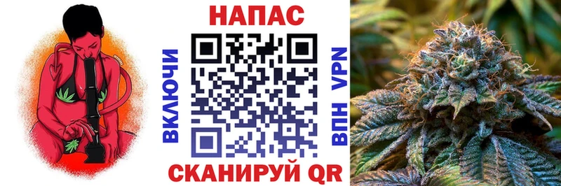 Каннабис тримм  закладка  Купино 
